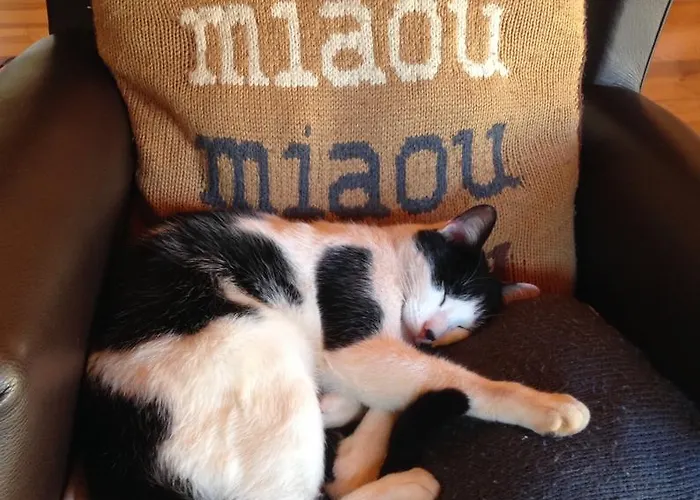 La Des Pins * Verrieres (Vienne)