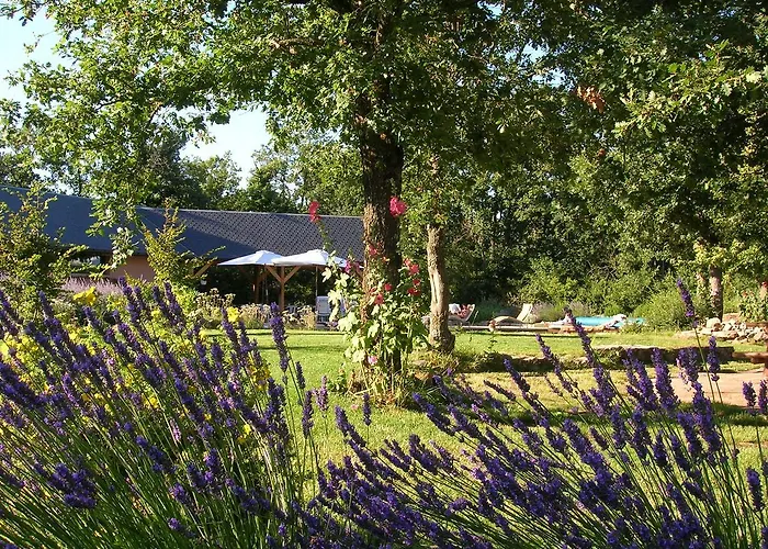 Gasthof La Des Pins *