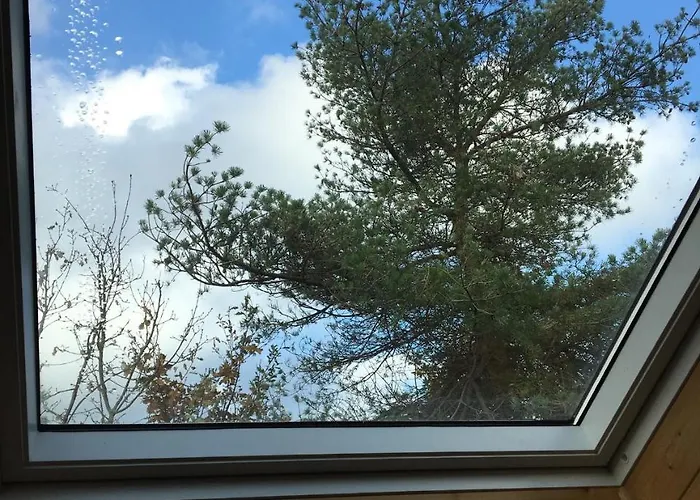 La Des Pins Gasthof *